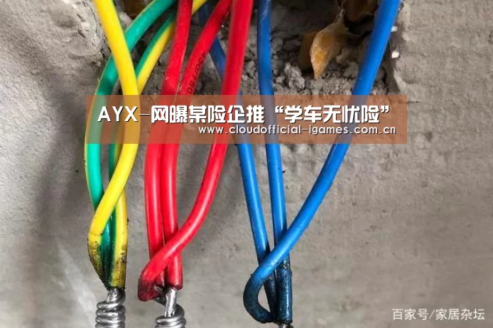 AYX-网曝某险企推“学车无忧险”(图1)