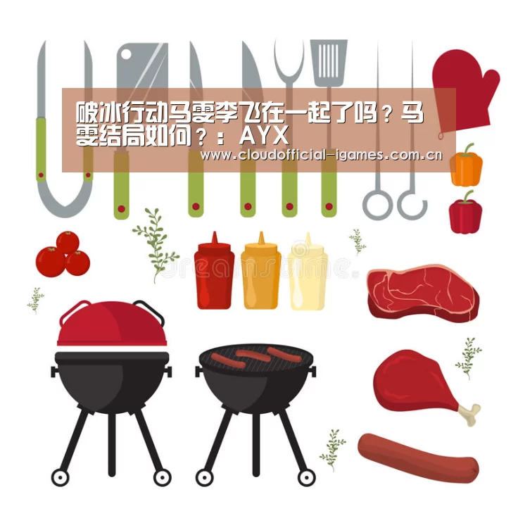 破冰行动马雯李飞在一起了吗？马雯结局如何？：AYX(图2)