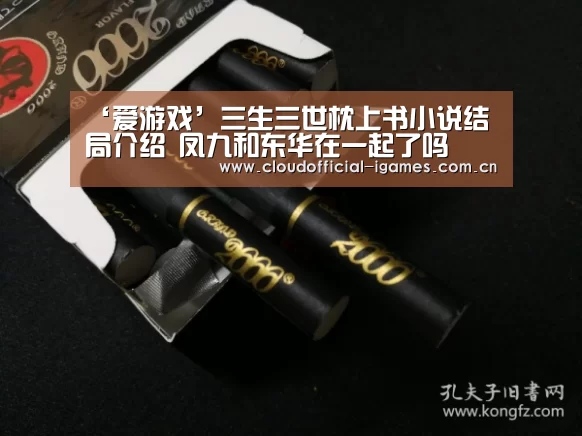 ‘爱游戏’三生三世枕上书小说结局介绍 凤九和东华在一起了吗(图3) ‘爱游戏’三生三世枕上书小说结局介绍 凤九和东华在一起了吗(图3)