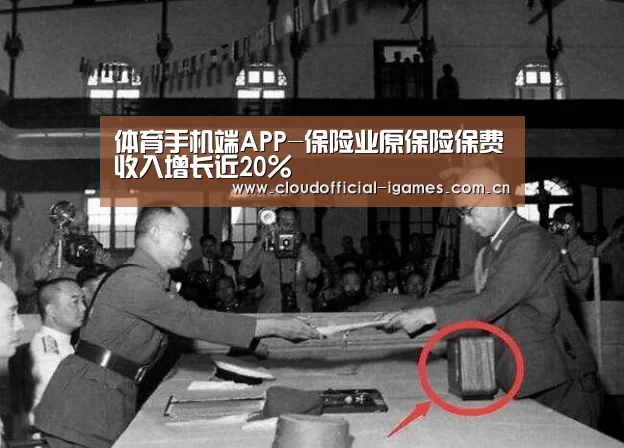 体育手机端APP-保险业原保险保费收入增长近20%(图4) 体育手机端APP-保险业原保险保费收入增长近20%(图4)